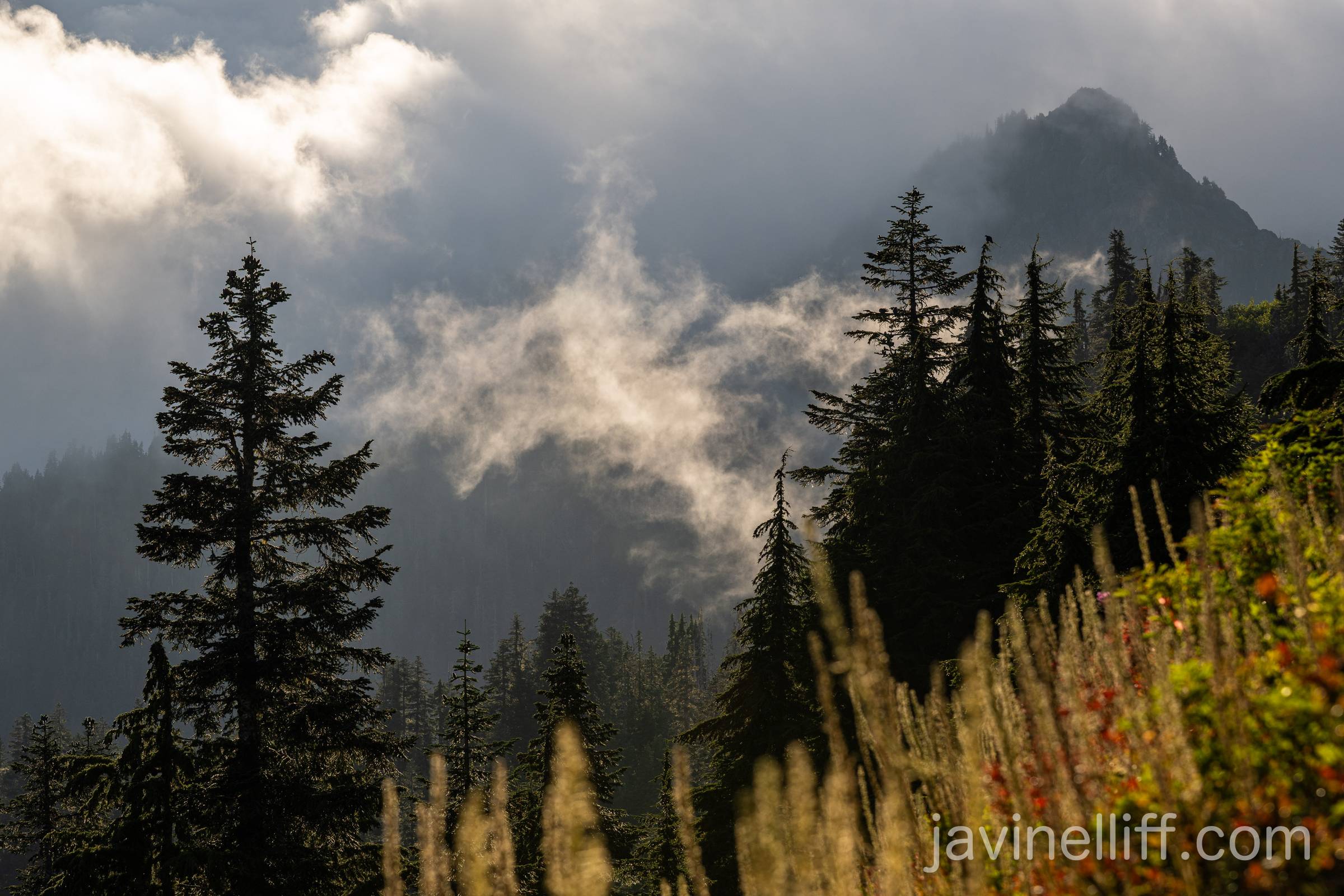 Mountain Clouds Clouds engulf the mountains with some evening light.
